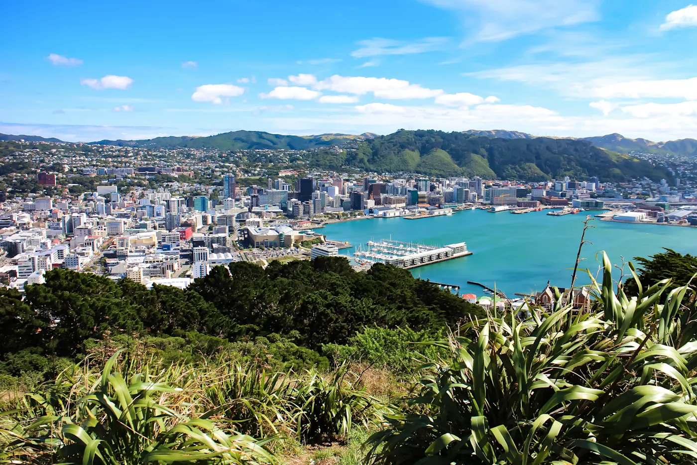 Une vue aérienne saisissante du skyline de Wellington