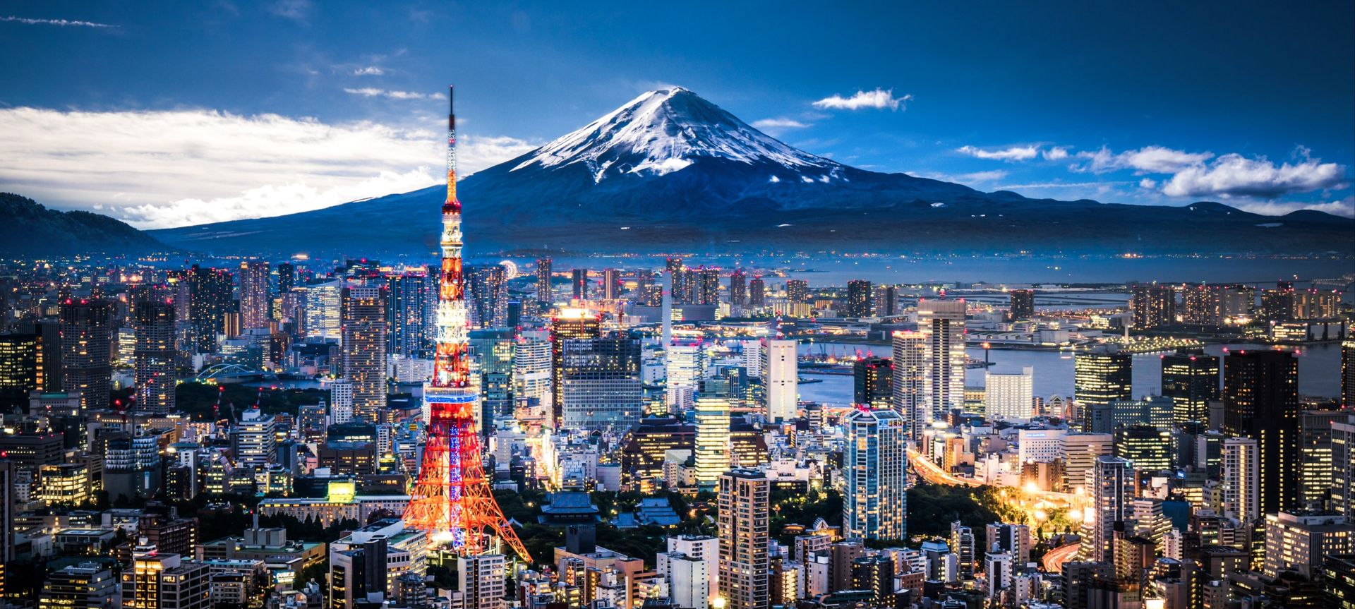 Vue aérienne du paysage urbain de Tokyo avec la montagne de Fuji au Japon.