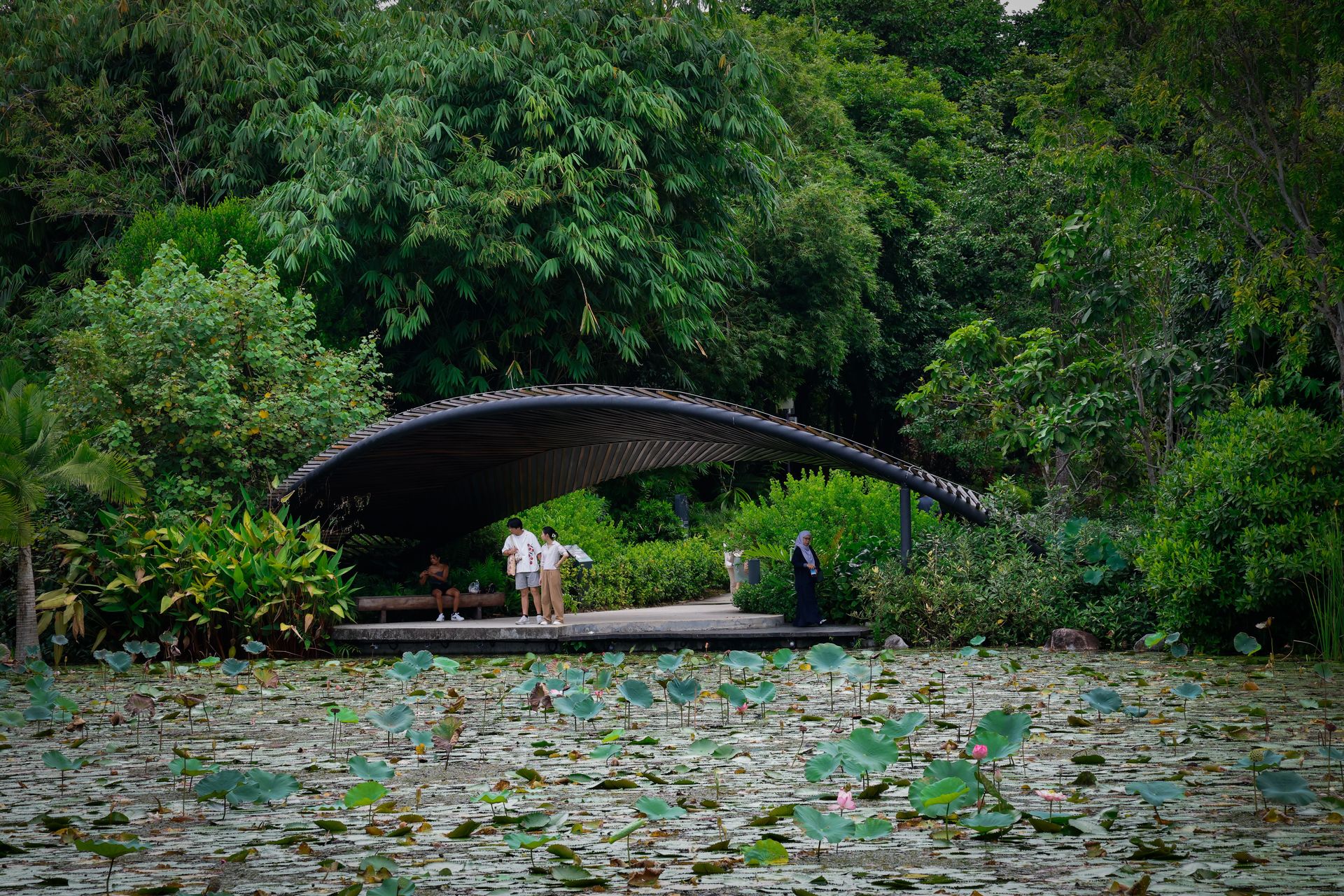 Scène relaxante avec des personnes au bord de l'étang du jardin botanique de Singapour, entourée de verdure.