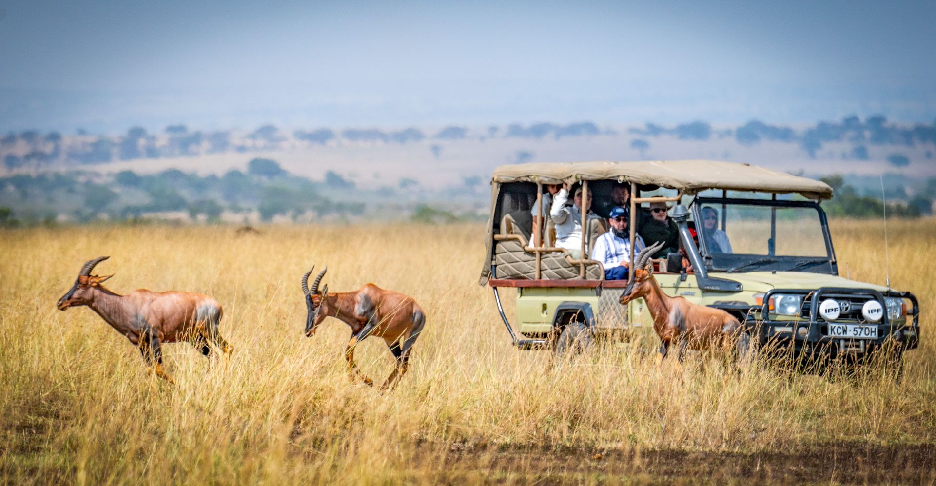 Des touristes en safari africain observent des antilopes dans un cadre pittoresque de prairie.