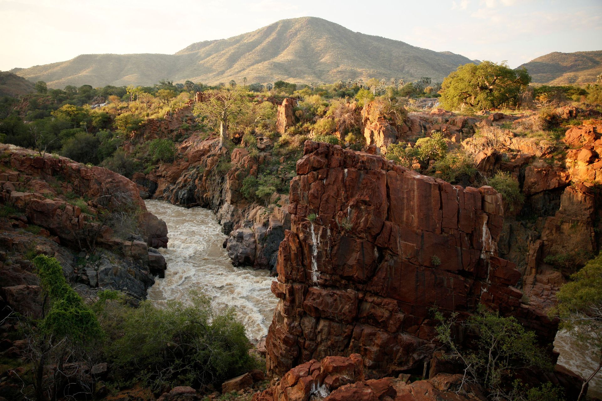 Une vue imprenable sur un canyon avec une rivière à courant rapide entourée d'une végétation luxuriante en Afrique.