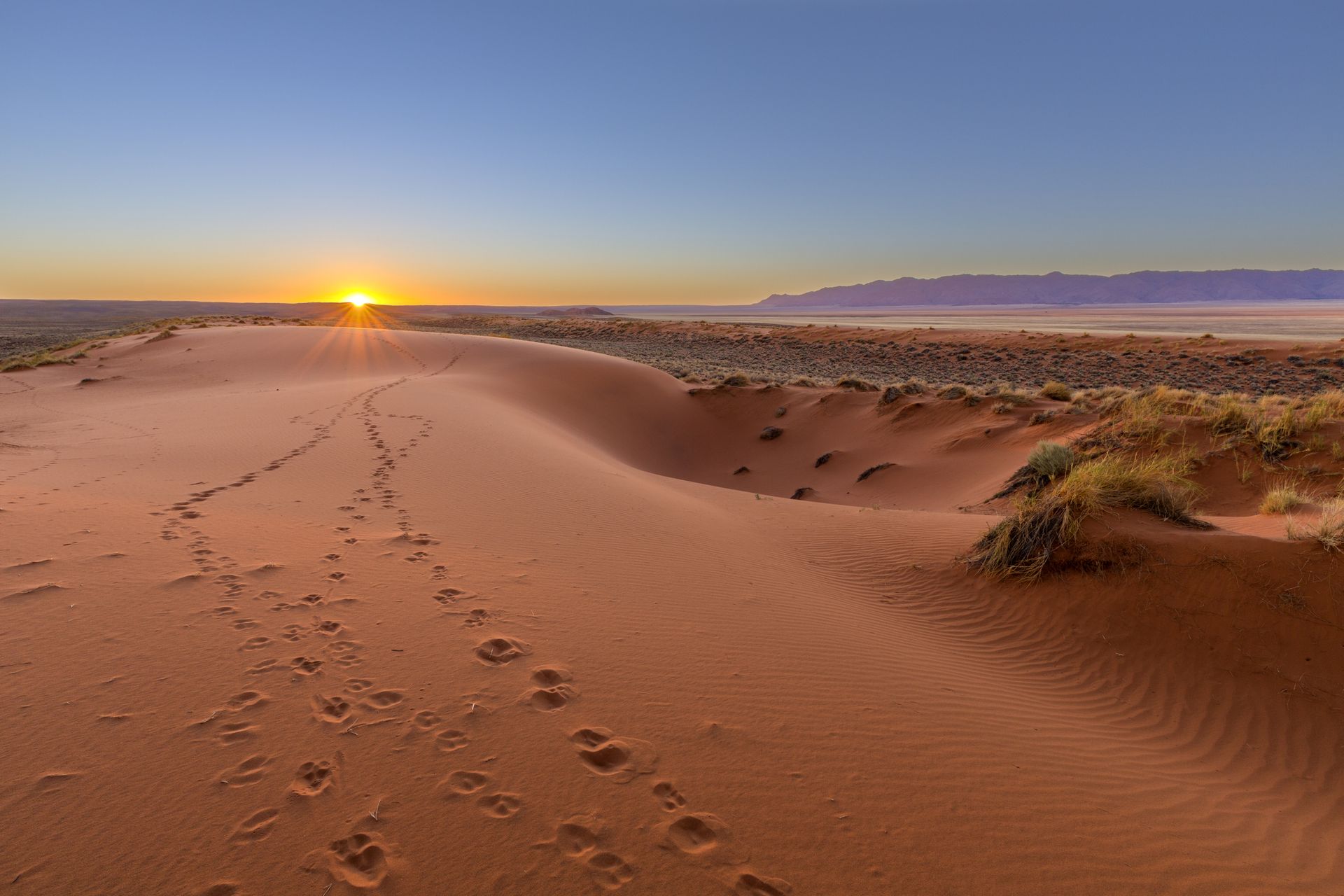 Coucher de soleil sur les dunes rouges du Kalahari