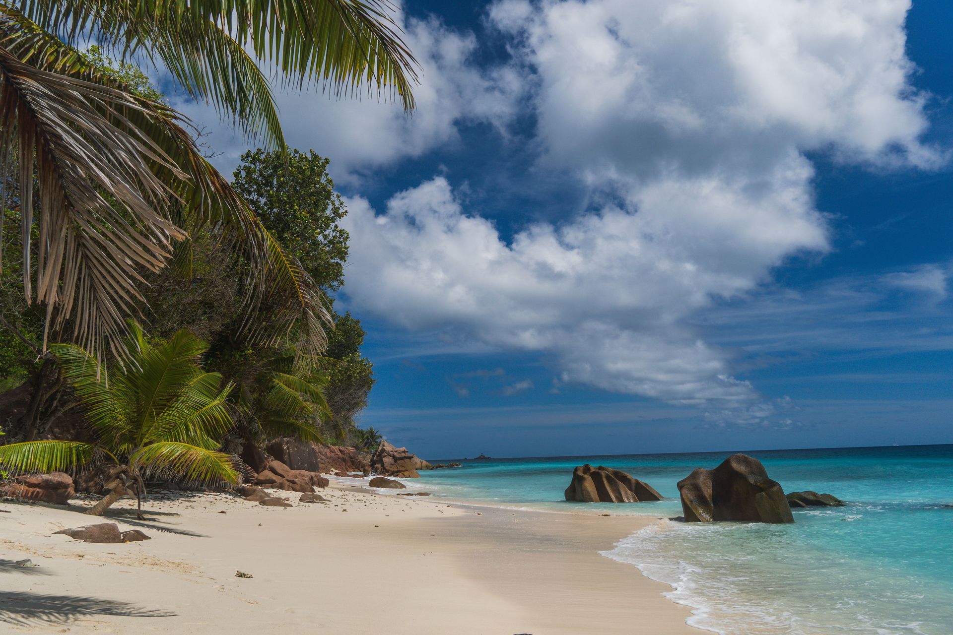 Plage de paradis tropical avec des palmiers et des rochers granitiques aux Seychelles sous un ciel bleu.