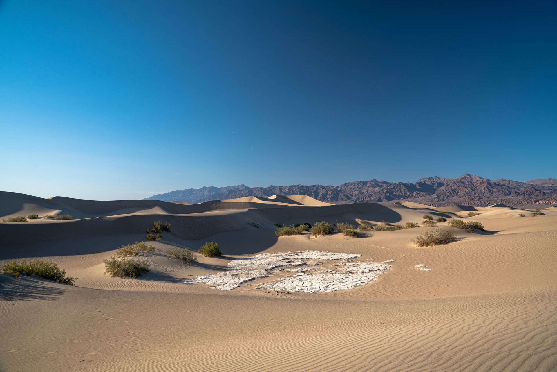Magnifique paysage désertique aride la Vallée de la Mort avec d'immenses dunes de sable sous un ciel bleu clair.