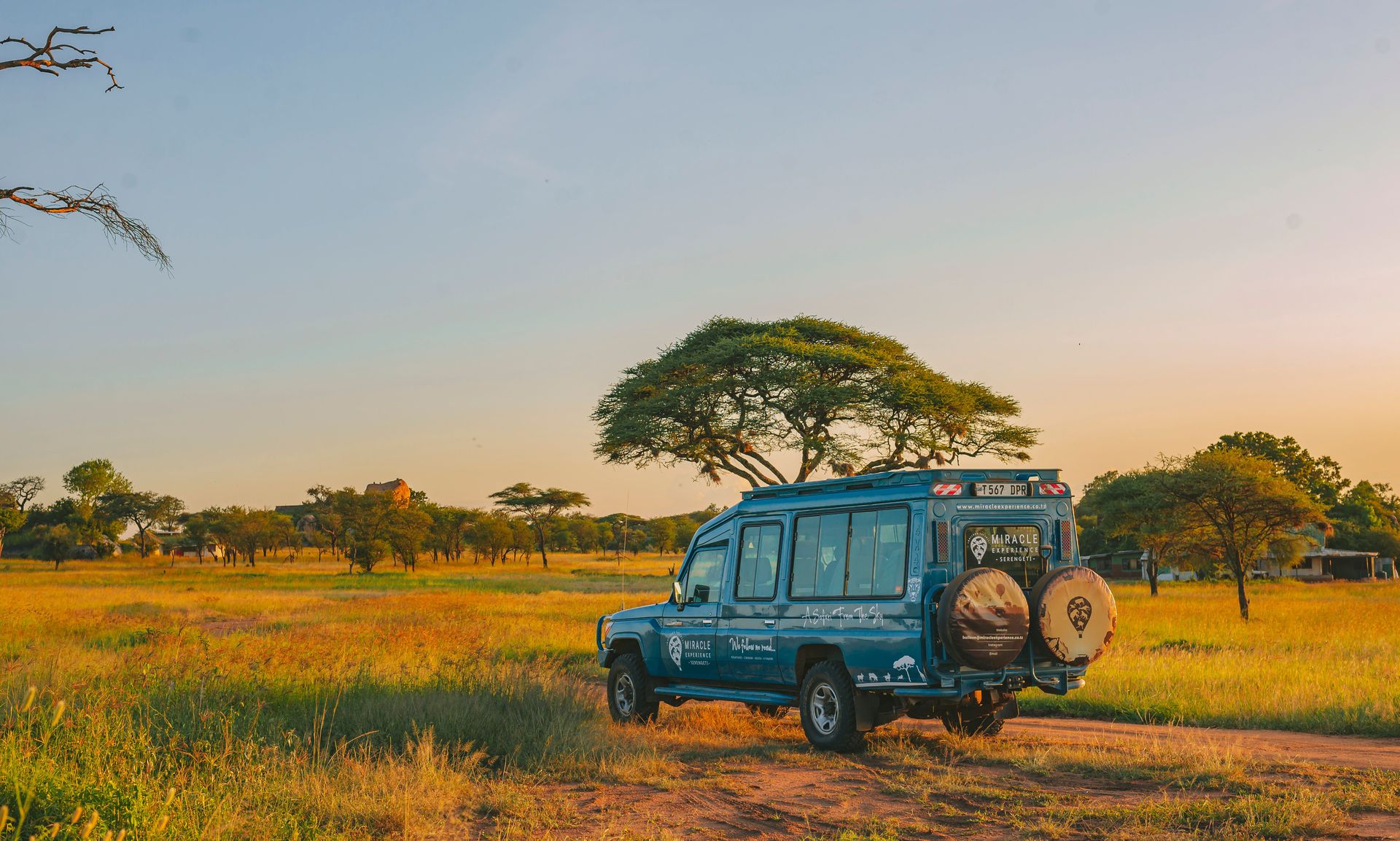 Safarie dans la savane africaine. Un 4x4 roule