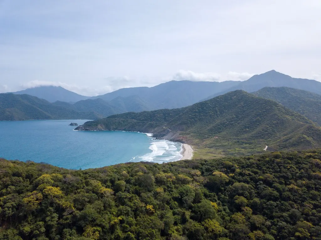 Une vue aérienne à couper le souffle de la côte du Parc National Tayrona avec une végétation luxuriante et des vagues océaniques.
