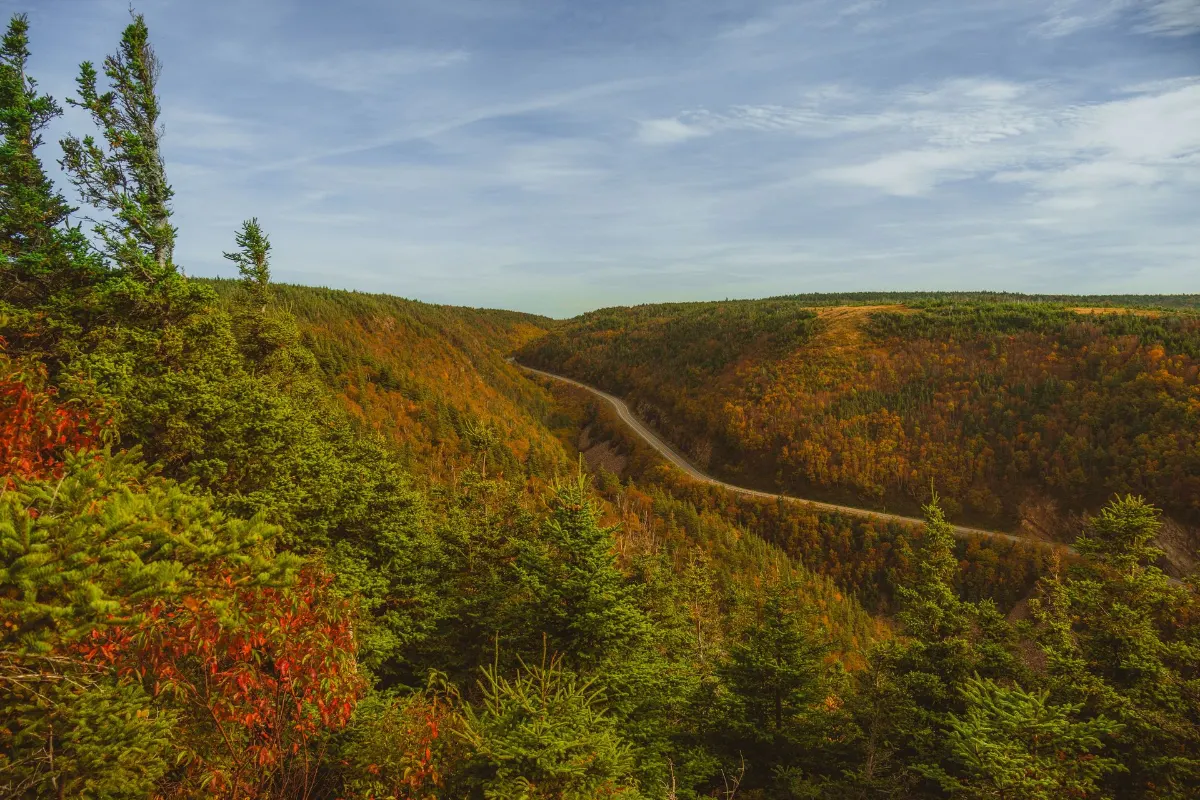 Foliage automnal vibrant le long d'une route sinueuse à Cape Breton, Nouvelle-Écosse, Canada.