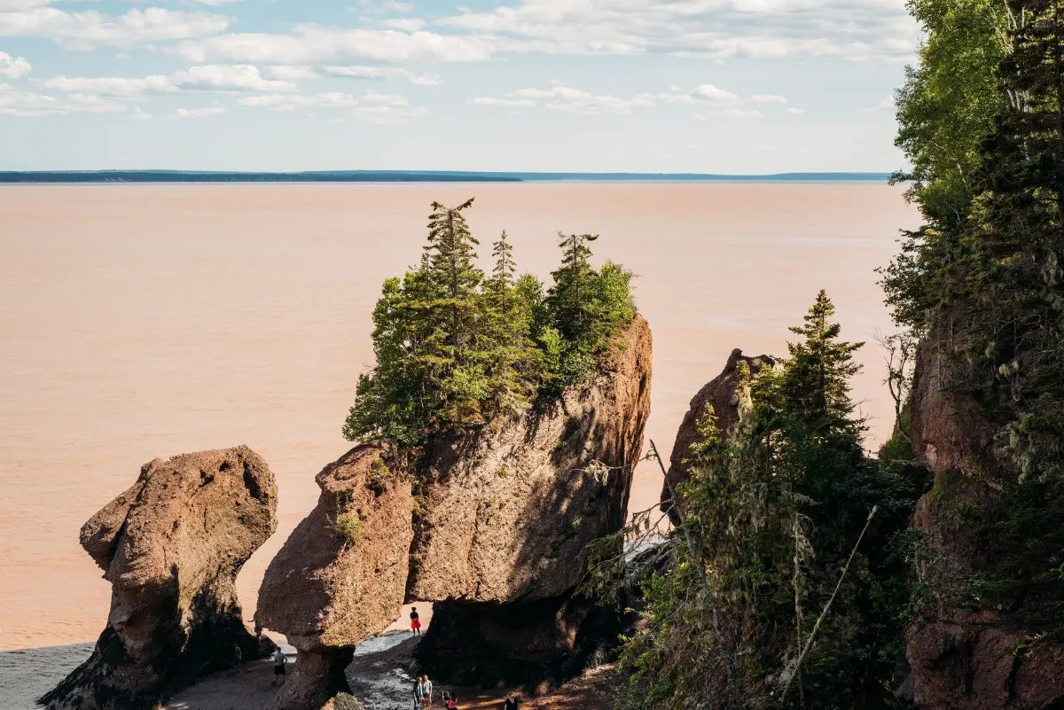 Vue époustouflante des Hopewell Rocks à la baie de Fundy, mettant en valeur des formations rocheuses majestueuses et des arbres verts vibrants sous un ciel dégagé.