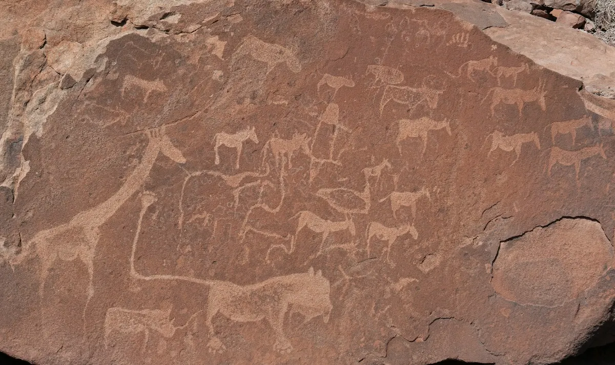 Un gros rocher de la régie Twyfelfontein avec des gravures dessus représentant des girafes, éléphants et lions.