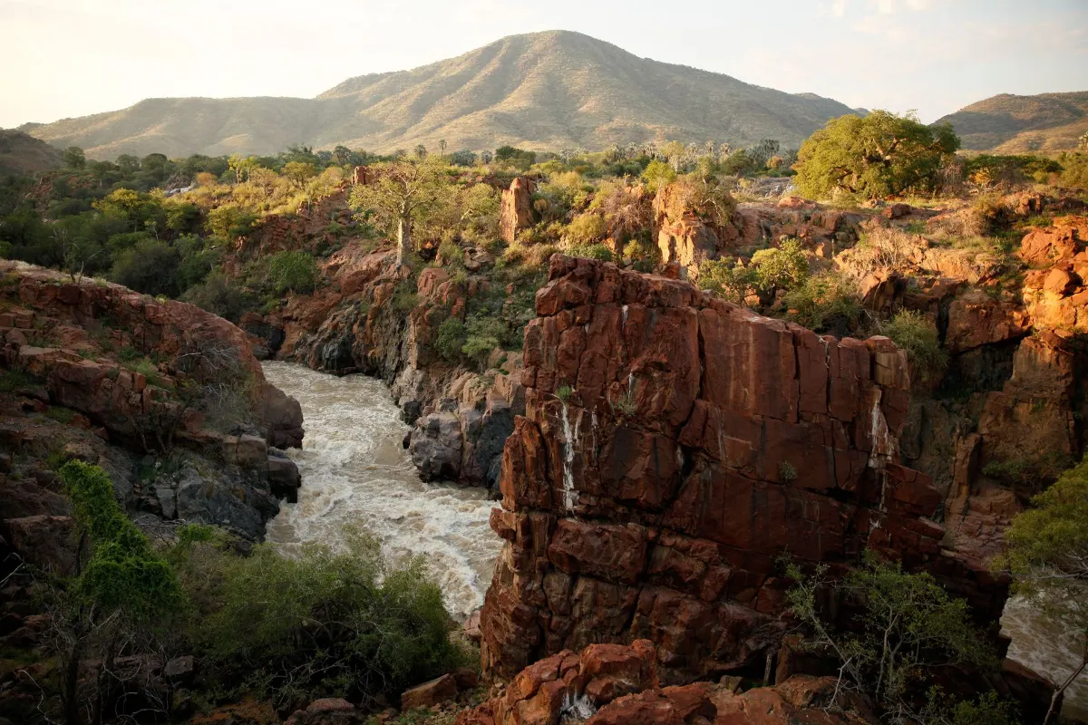 Une vue imprenable sur un canyon avec une rivière à courant rapide entourée d'une végétation luxuriante en Afrique.