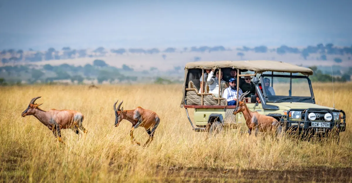 Des touristes en safari africain observent des antilopes dans un cadre pittoresque de prairie.