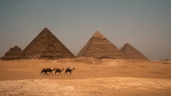 Les pyramides Egypte. Devant elles on aperçoit 3 chameaux