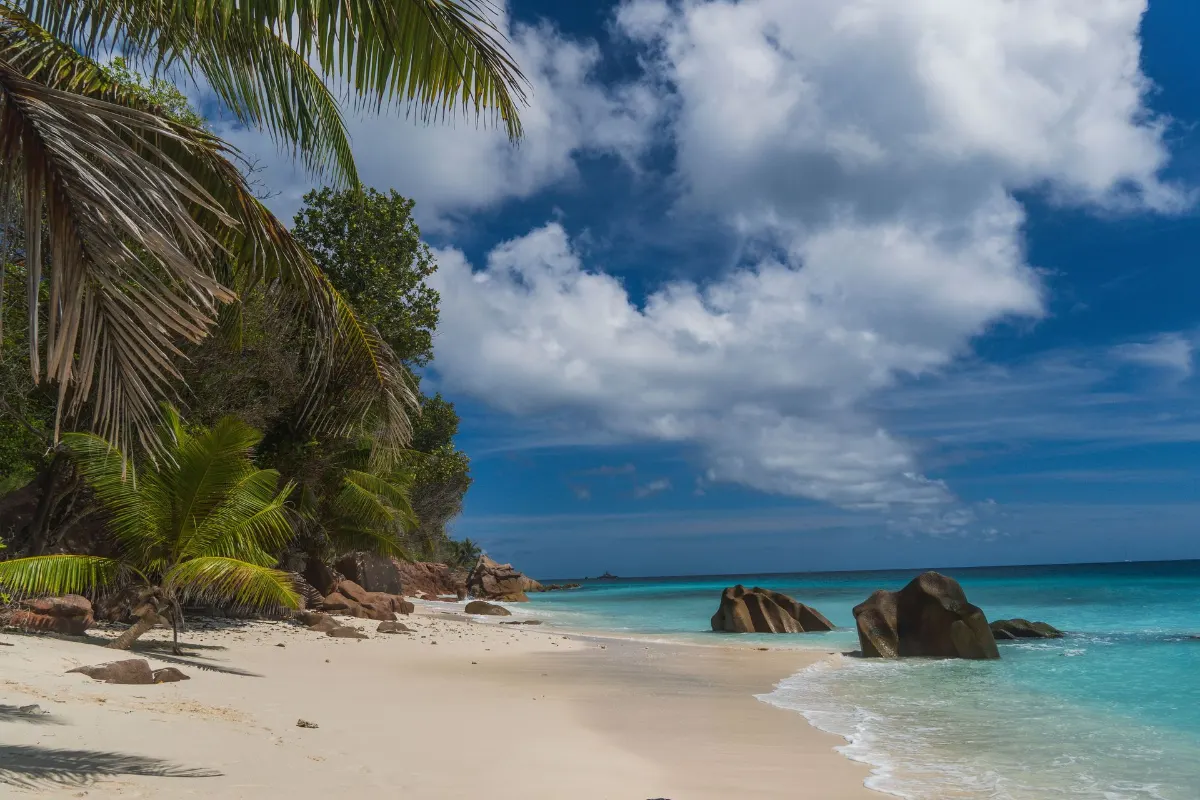 Plage de paradis tropical avec des palmiers et des rochers granitiques aux Seychelles sous un ciel bleu.