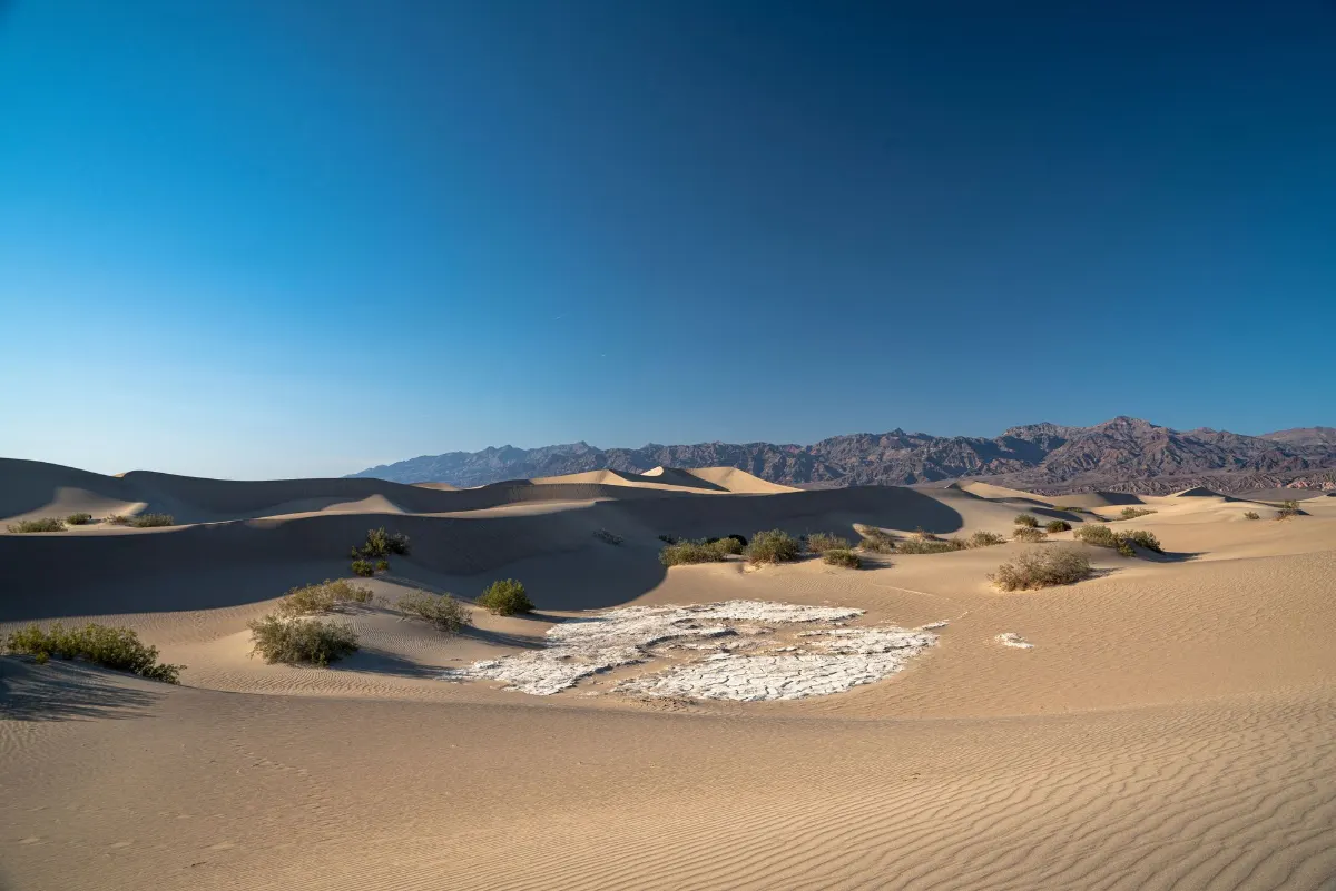 Magnifique paysage désertique aride la Vallée de la Mort avec d'immenses dunes de sable sous un ciel bleu clair.